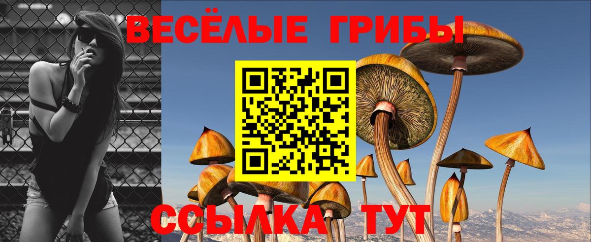 закладки  Вход с VPN  Орехово-Зуево  Галлюциногенные грибы Magic Shrooms 