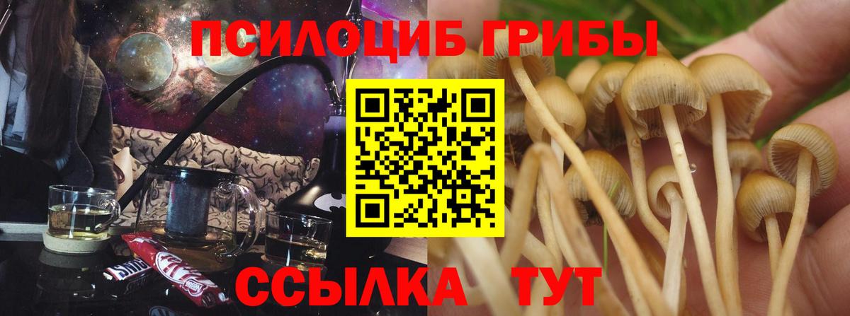 Псилоцибиновые грибы Psilocybine cubensis Орехово-Зуево